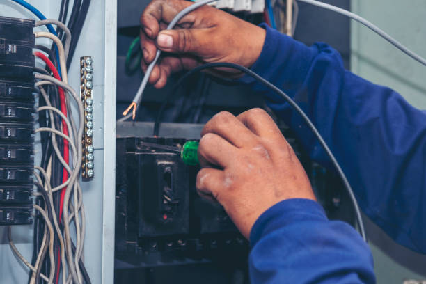 Best Electric Panel Repair  in Homestead, FL